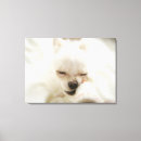Suche nach horizontal leinwandbilder Sofa