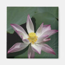 Suche nach vietnamesische magnete Rosa