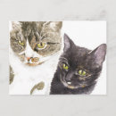 Suche nach torti postkarten Katze