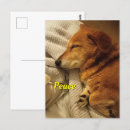 Suche nach lächelnde hunde postkarten Foto