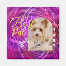 Suche nach pet magnete Hunde