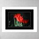 Suche nach red fotodruck Fotodrucke