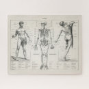 Suche nach anatomie puzzle Anatomy