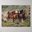 Suche nach wild horse poster Utah