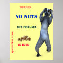 Suche nach nüsse poster Allergie