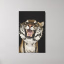 Suche nach wilder tiger leinwandbilder Studioschuß