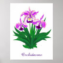 Suche nach lila orchidee poster Orchideen