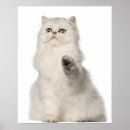 Suche nach sitzend poster Natur