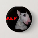 Suche nach alf Hunde