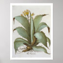 Suche nach hortus poster Schule