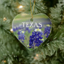 Suche nach texas ornamente Staat von texas
