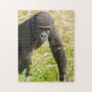 Suche nach gorilla puzzle Tierwelt
