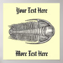 Suche nach fossilien poster Vintag