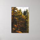Suche nach europäische kunst leinwandbilder Wald