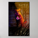 Suche nach chinesische tiere poster Natur