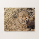 Suche nach namibia puzzle Tier