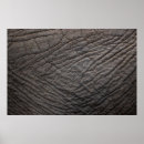 Suche nach rosa elefanten poster Struktur