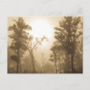 Suche nach landscape postkarten Fog