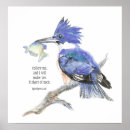 Suche nach eisvogel poster Fischer