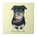 Suche nach niedlicher mops fliesen Niedliche hunde