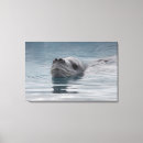 Suche nach siegel leinwandbilder Wildtiere