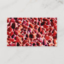 Suche nach kiesel visitenkarten Meer