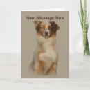 Suche nach australian shepherd karten Aussie