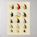 Suche nach trout poster Fisherman