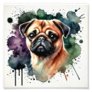 Suche nach mops poster Aquarellmalerei