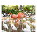Suche nach landschaftliche natur poster Urlaub