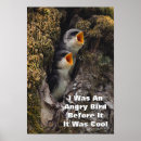 Suche nach schwalben poster Vögel