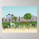 Suche nach italienischer windhund poster Iggy
