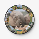 Suche nach afrikanischer elefant teller Safari