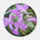Suche nach orchidee magnete Lila