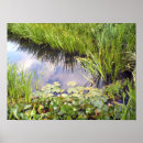 Suche nach spiegelung poster Wasser
