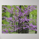 Suche nach heller frühling kunst Landschaft