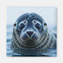 Suche nach robben magnete Tiere