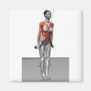 Suche nach körperteile magnete Medizinisch