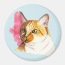 Suche nach schöne katzen magnete Katzenfrau