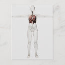 Suche nach innere organe postkarten Biomedizinische abbildungen