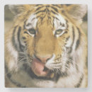 Suche nach zunge untersetzer Tier