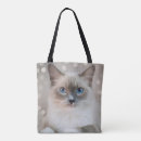 Suche nach ragdolls taschen Kitty