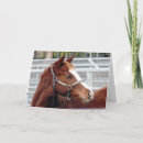 Suche nach auseinander karten Freunde