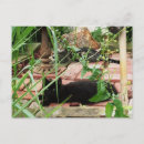 Suche nach liege postkarten Für alle