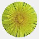 Suche nach wilde pflanze aufkleber Blume