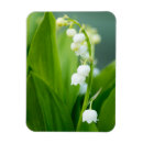 Suche nach botanik blatt magnete Blume