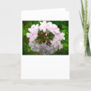 Suche nach phlox karten Natur