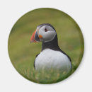Suche nach single magnete Fotografie