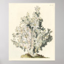 Suche nach hintergrund poster Antike