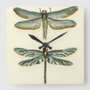 Suche nach collections kunst Insects